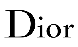 Dior business model | How does Dior make money?