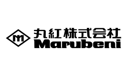 Marubeni business model | How does Marubeni make money?