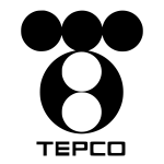 Tokyo Electric Power business model | How does Tokyo Electric Power make money?
