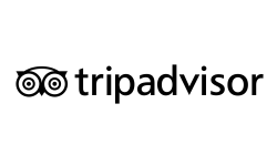 Tripadvisor business model | How does Tripadvisor make money?