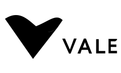 Vale business model | How does Vale make money?